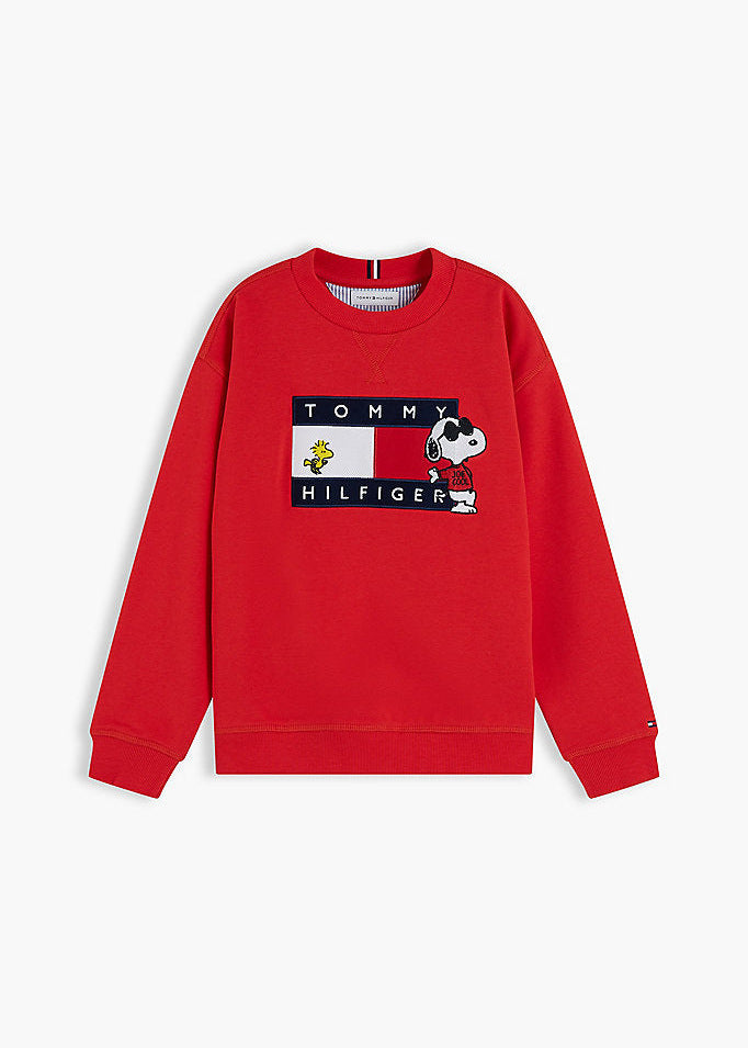 Pullover con bandierina e grafica Peanuts®
