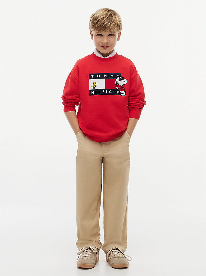 Pullover con bandierina e grafica Peanuts®