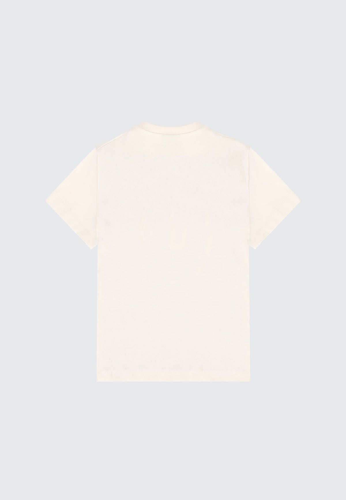 T-SHIRT SPRAY