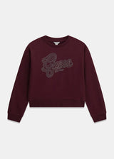 Felpa con logo in strass