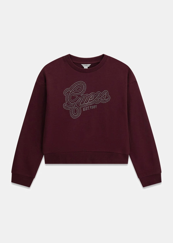 Felpa con logo in strass
