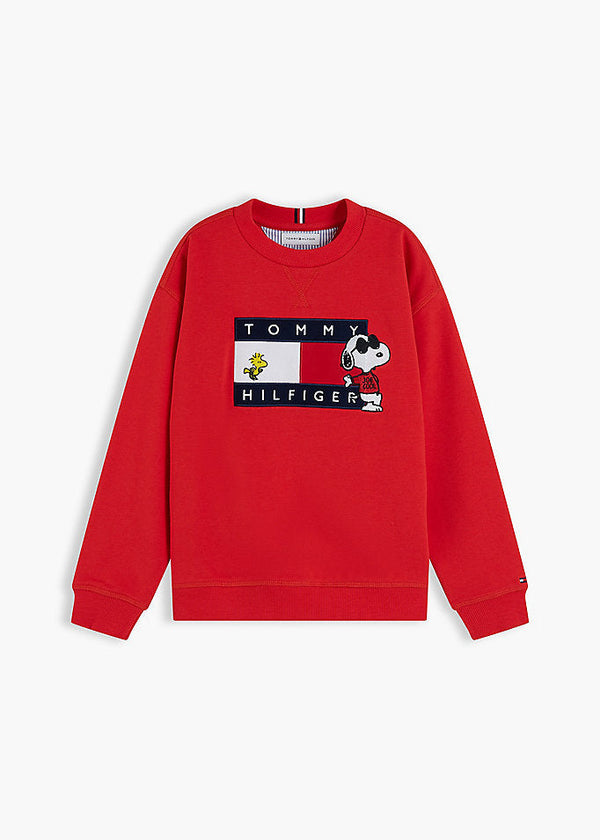 Pullover con bandierina e grafica Peanuts®