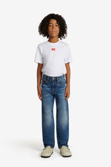 Jeans regular blu medio - 2010