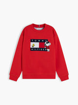 Pullover con bandierina e grafica Peanuts®
