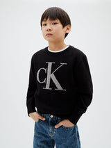 Maglione in cotone pettinato